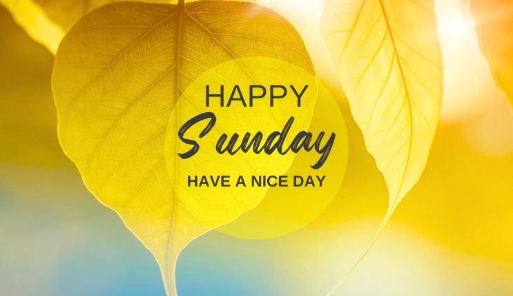 100+ Happy Sunday Wishes, Messages and Quotes