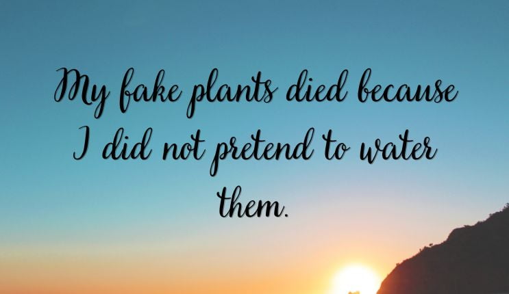 quotes about fake friend